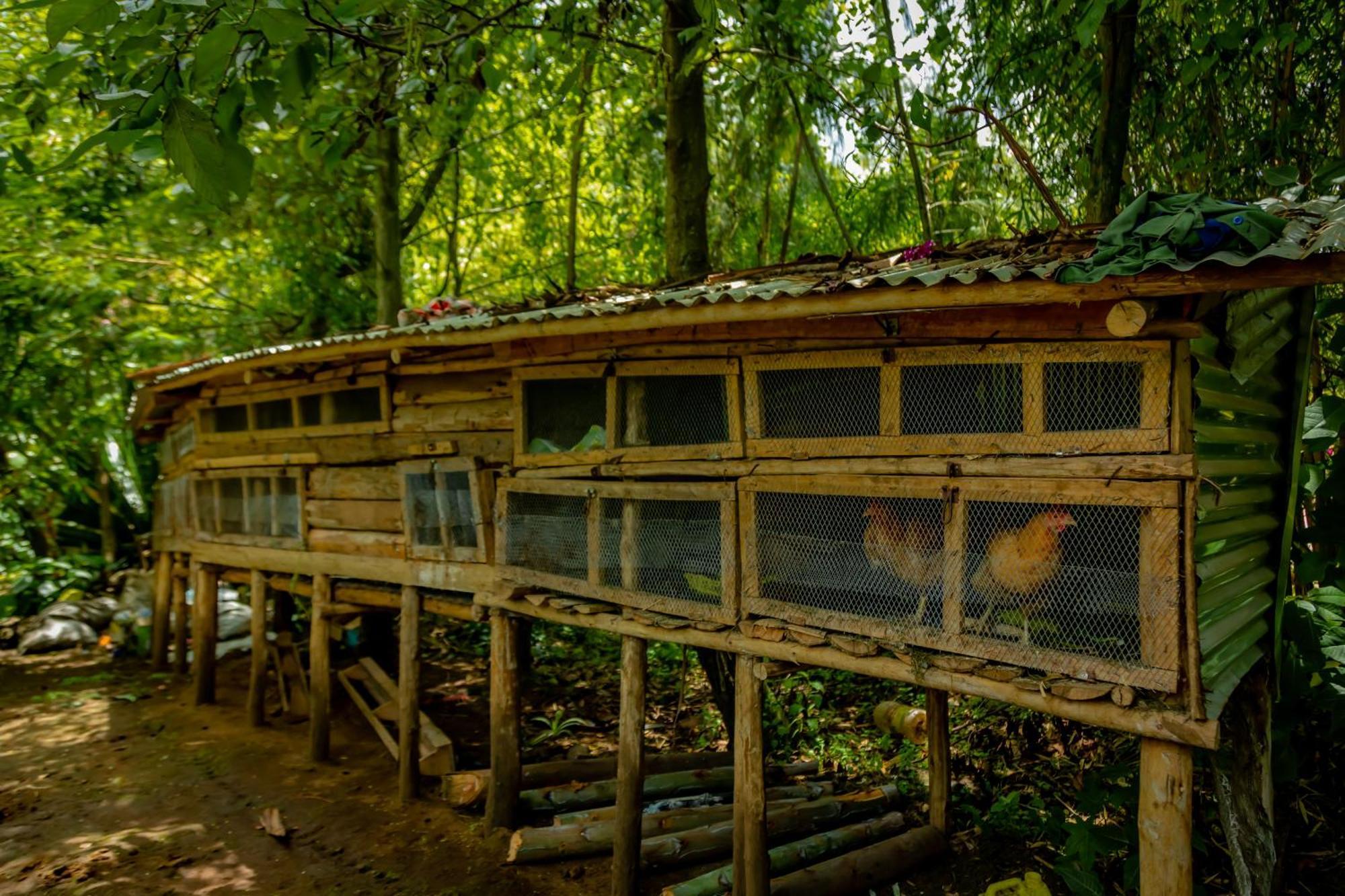 Fravan Eco Resort By Apogee Ruhengeri Εξωτερικό φωτογραφία